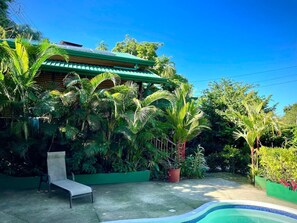 Imagen sin descripción, 4 de 54, botón