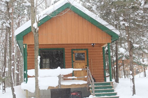 Off-Grid Cozy 2-bedroom cabin in fabulous Adams Center with AC