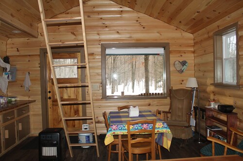 Off-Grid Cozy 2-bedroom cabin in fabulous Adams Center with AC