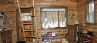 Off-Grid Cozy 2-bedroom cabin in fabulous Adams Center with AC