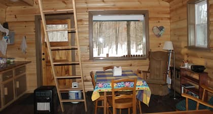 Off-Grid Cozy 2-bedroom cabin in fabulous Adams Center with AC