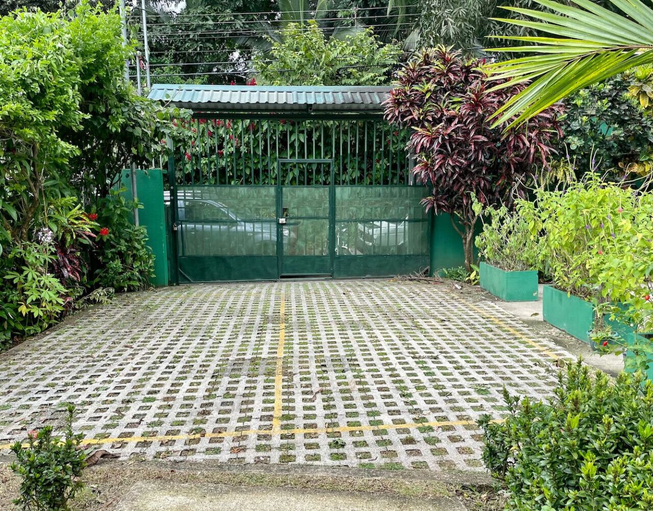 Une cour dallée avec un portail vert, entourée de différentes plantes et arbres.