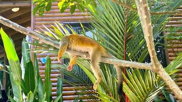 Un perezoso colgando de una rama en un entorno interior exuberante con estructuras de bambú y follaje tropical.