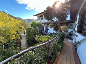 星評価なしの画像、2 / 22、ボタン