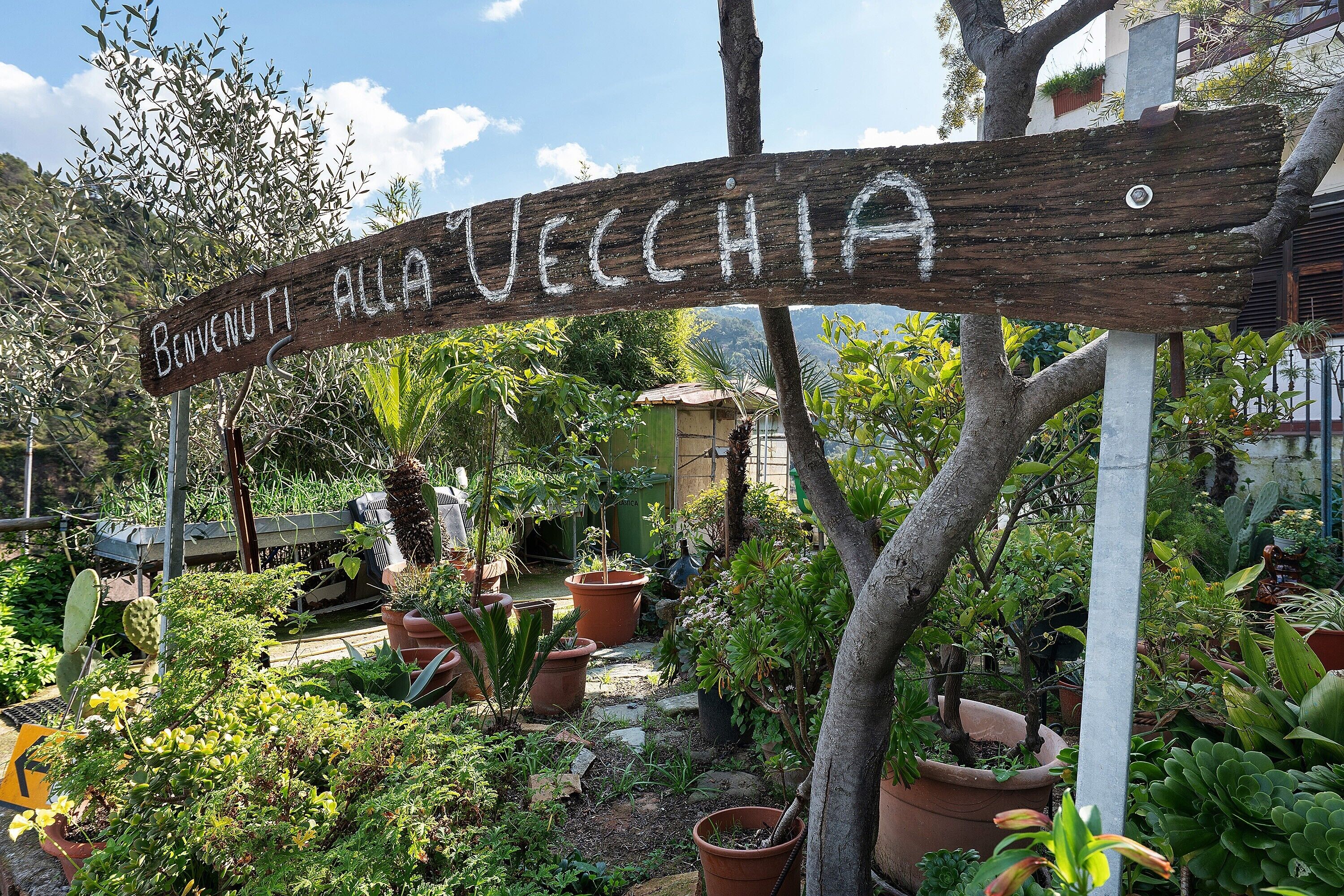 Enceinte de l’hébergement