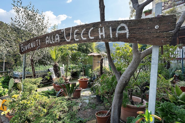 A wooden sign with 'Benvenuti alla Vecchiaia' written on it, surrounded by potted plants and trees.