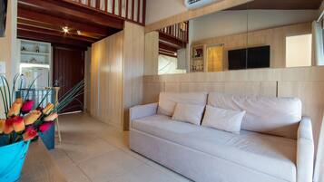 Basic Apartment | Living area | TV