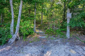A forested area with a dirt path leading through trees.