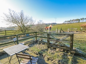 Un banc et une table en bois, placés dans un espace extérieur clos, avec un cheval en arrière-plan.