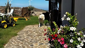 Un sendero de piedra que lleva a un edificio con una puerta de madera, un tractor estacionado y un perro al fondo.