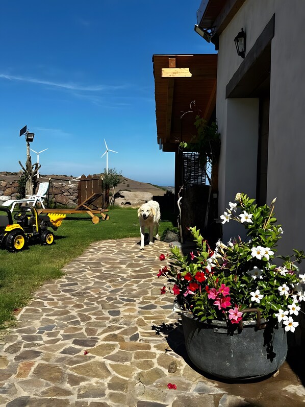 Un chemin de pierres mène à un bâtiment dot é d’une porte en bois, avec un tracteur garé et un chien visible au loin.