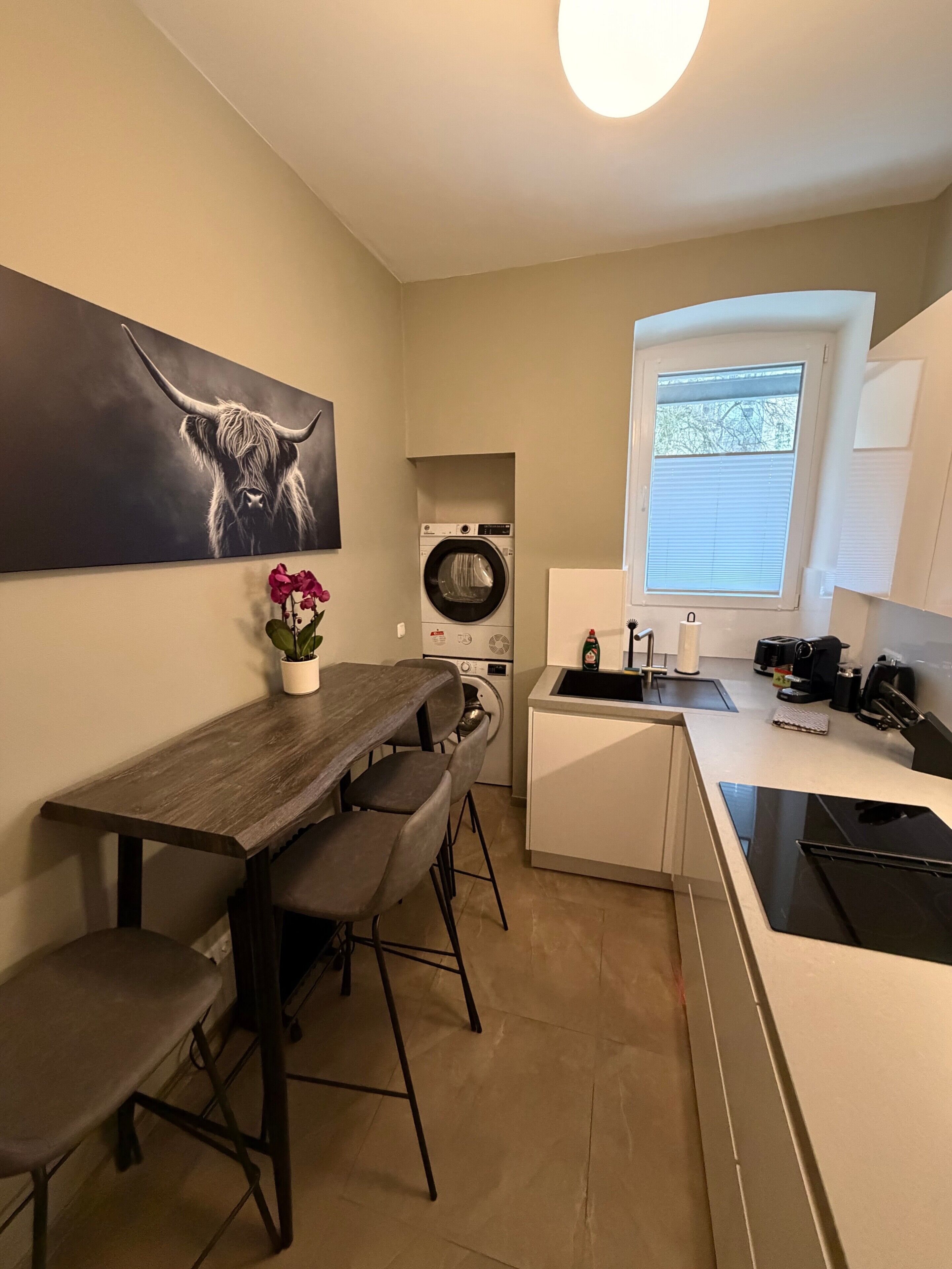 Fridge, oven, stovetop, dishwasher