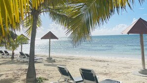 Una playa con sillas reclinables blancas bajo una palmera, cielo despejado y el océano al fondo.