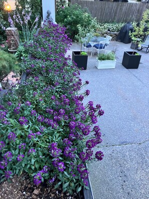 Garden - The Nicholson Inn (Freeport)