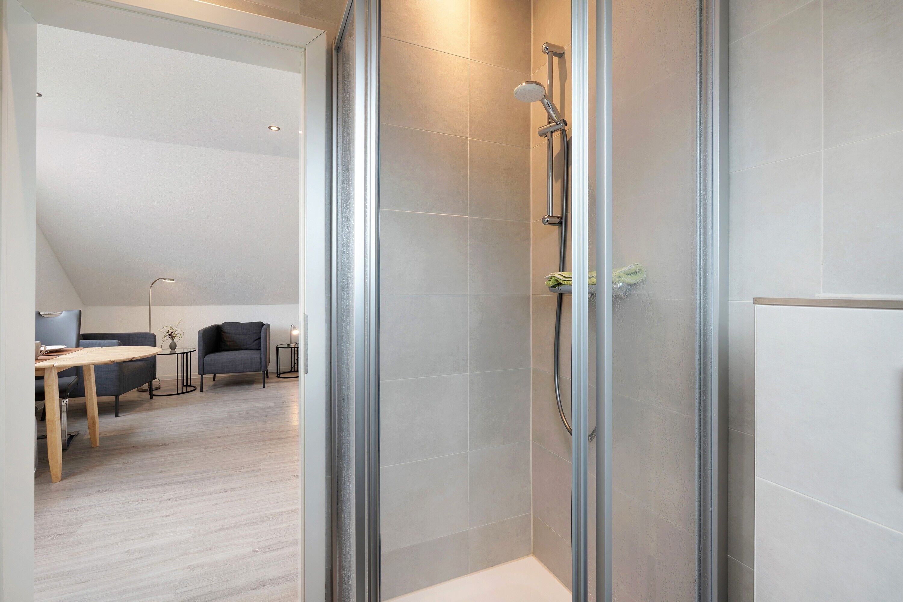 Shower, hair dryer, towels