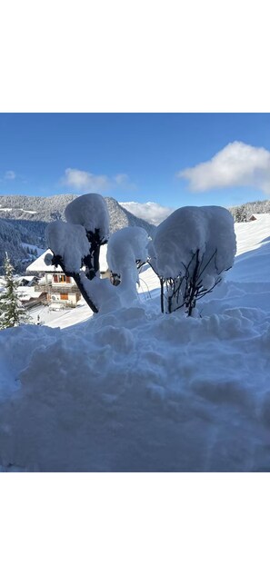 Niet-geclassificeerde afbeelding, 4 van 13, knop