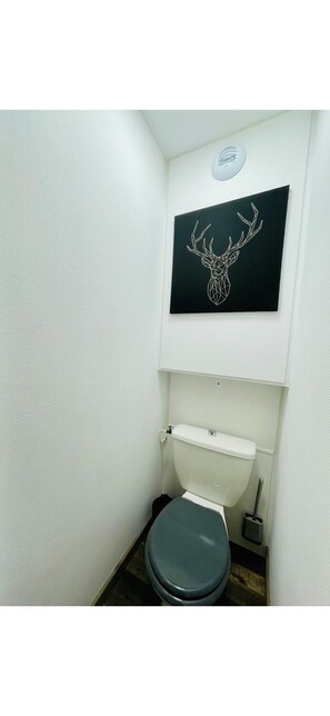 Douche, sèche-cheveux, serviettes fournies, savon