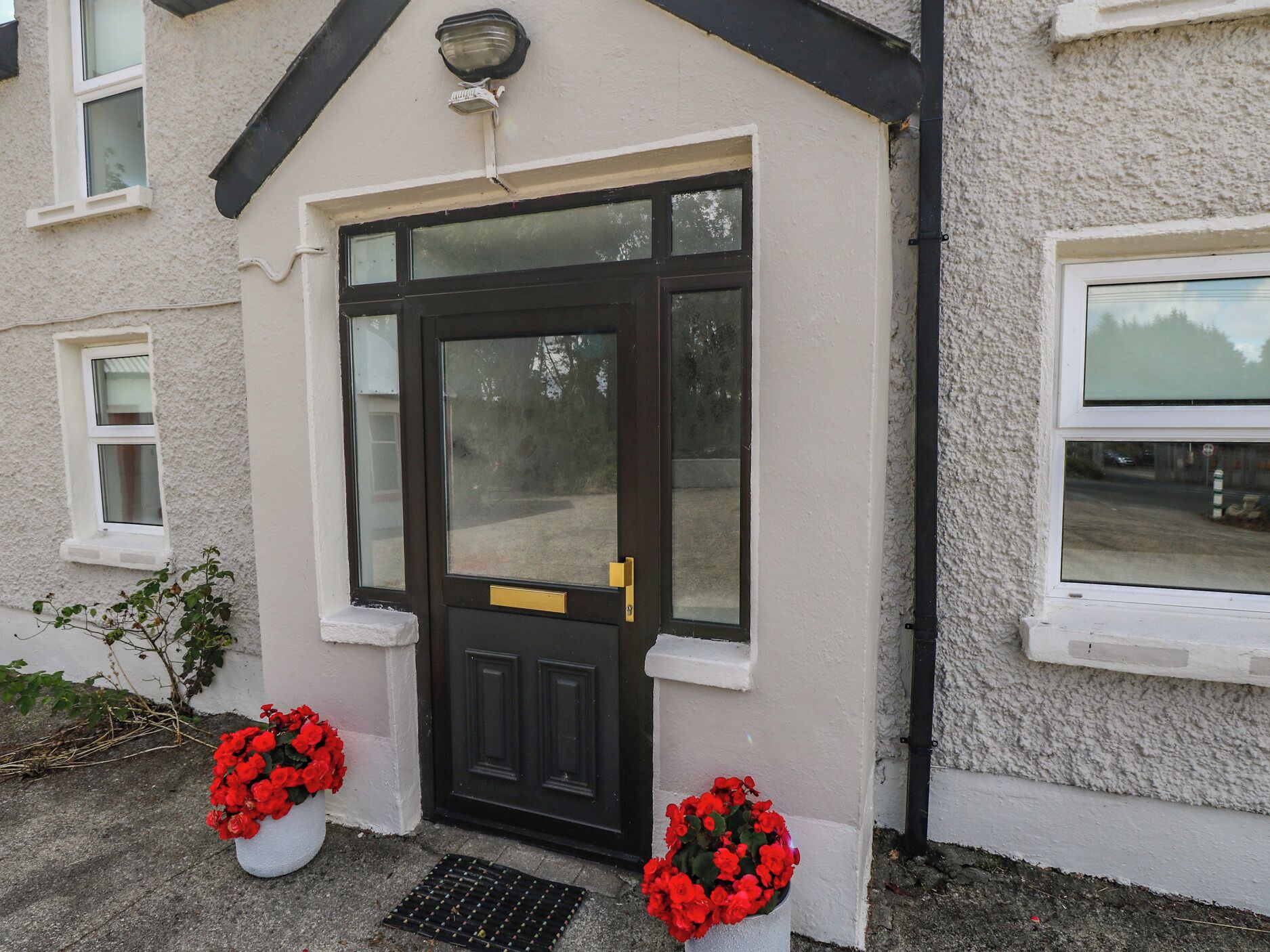 A building with a black front door, two potted red flowers, and a window on the right side.