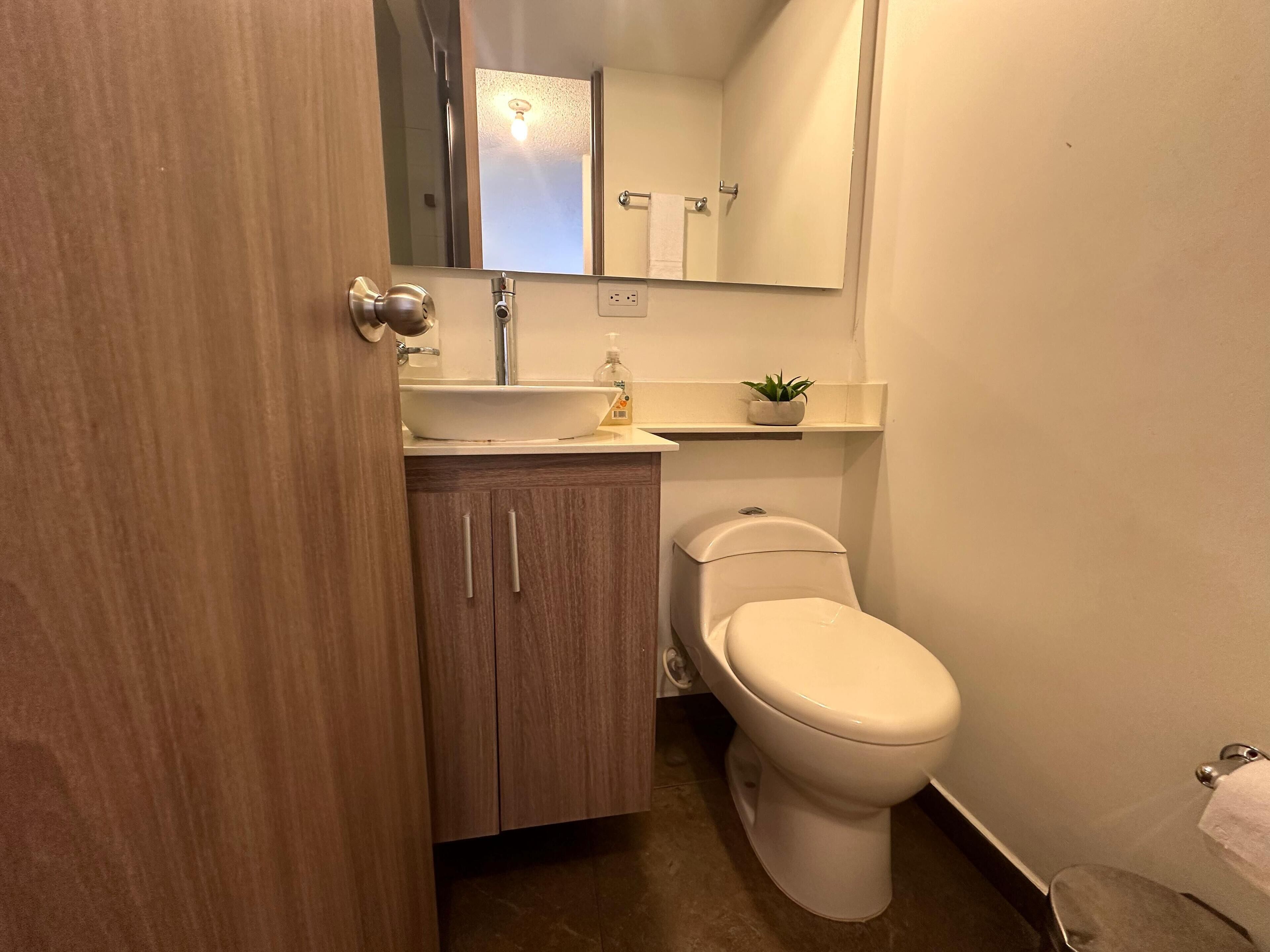 Un bagno con un armadietto in legno, un lavandino bianco, un water e una piccola pianta in vaso sul ripiano.