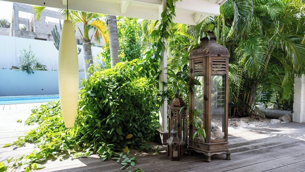 Una terraza de madera con un farol y abundante vegetación.