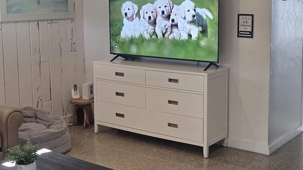 Olohuoneessa on televisio, jossa näkyy pentukuvia, kattotuuletin, taulu ja pieni pöytä, jonka päällä on kasvi.