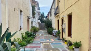 Une ruelle étroite, bordée de bâtiments des deux côtés, avec des plantes en pot et un pavé aux couleurs vives.