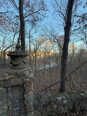 Immagine non classificata, 5 di 9, pulsante