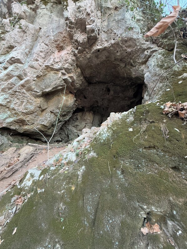 A rocky terrain with a cave entrance, moss-covered rocks, and scattered leaves.