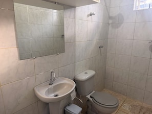 A bathroom with a sink, toilet, and mirror.