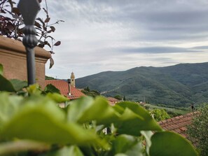 Property grounds - Welcome to Dora's little house! (Chiusanico)