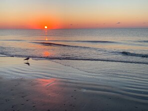 Imagem sem classificação, 5 de 18, botão