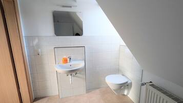 Ducha, secador de pelo y toallas