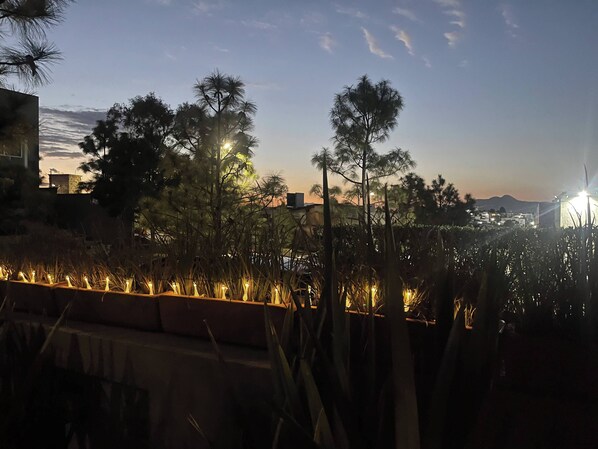A sunset view with trees and a building in the background.