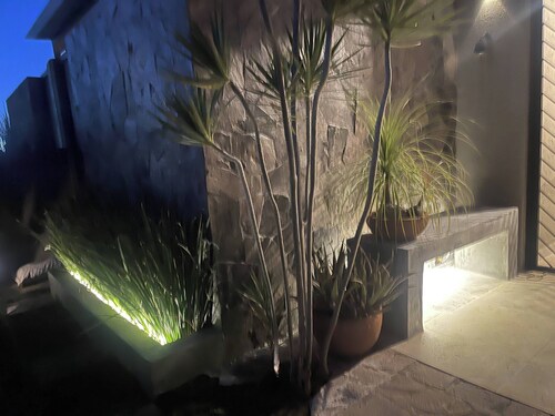 Comfortable and very nice accommodation with garden next to Tec. de Mty. Pet friendly 🌿