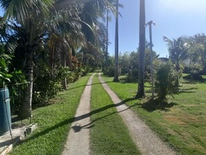 Property grounds - Coco Gardens (Negril)