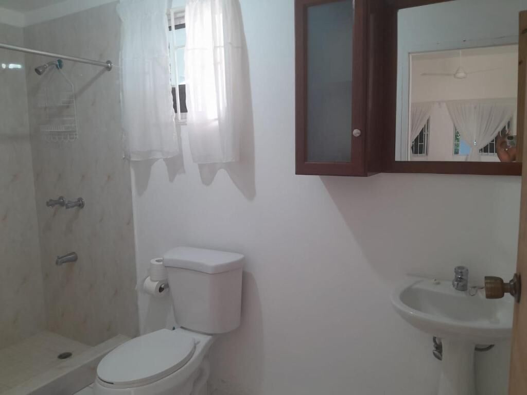 Une salle de bain équipée d’une douche, de toilettes, d’un lavabo et d’un meuble à miroir.