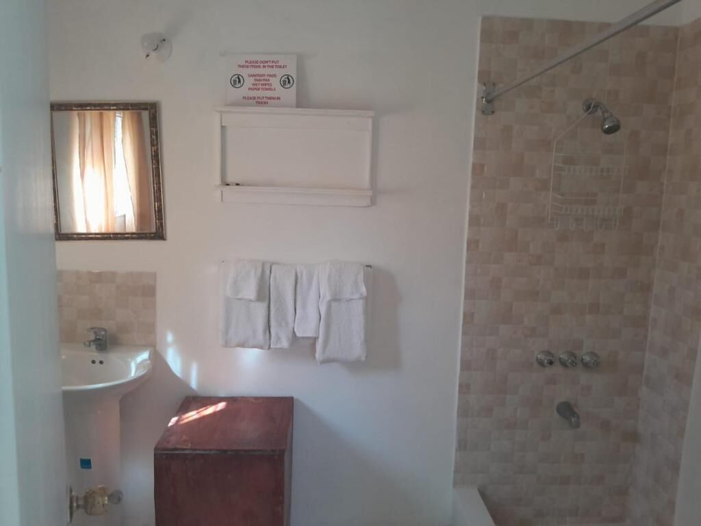 A bathroom with a sink, mirror, and a shower area.