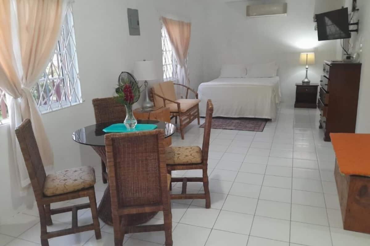 Una habitación con una cama, una mesa de comedor con sillas, un televisor y una lámpara.