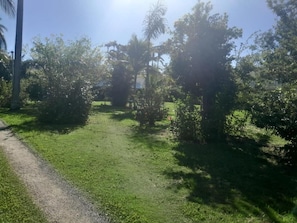 Botó d’imatge sense classificar, 2 de 30