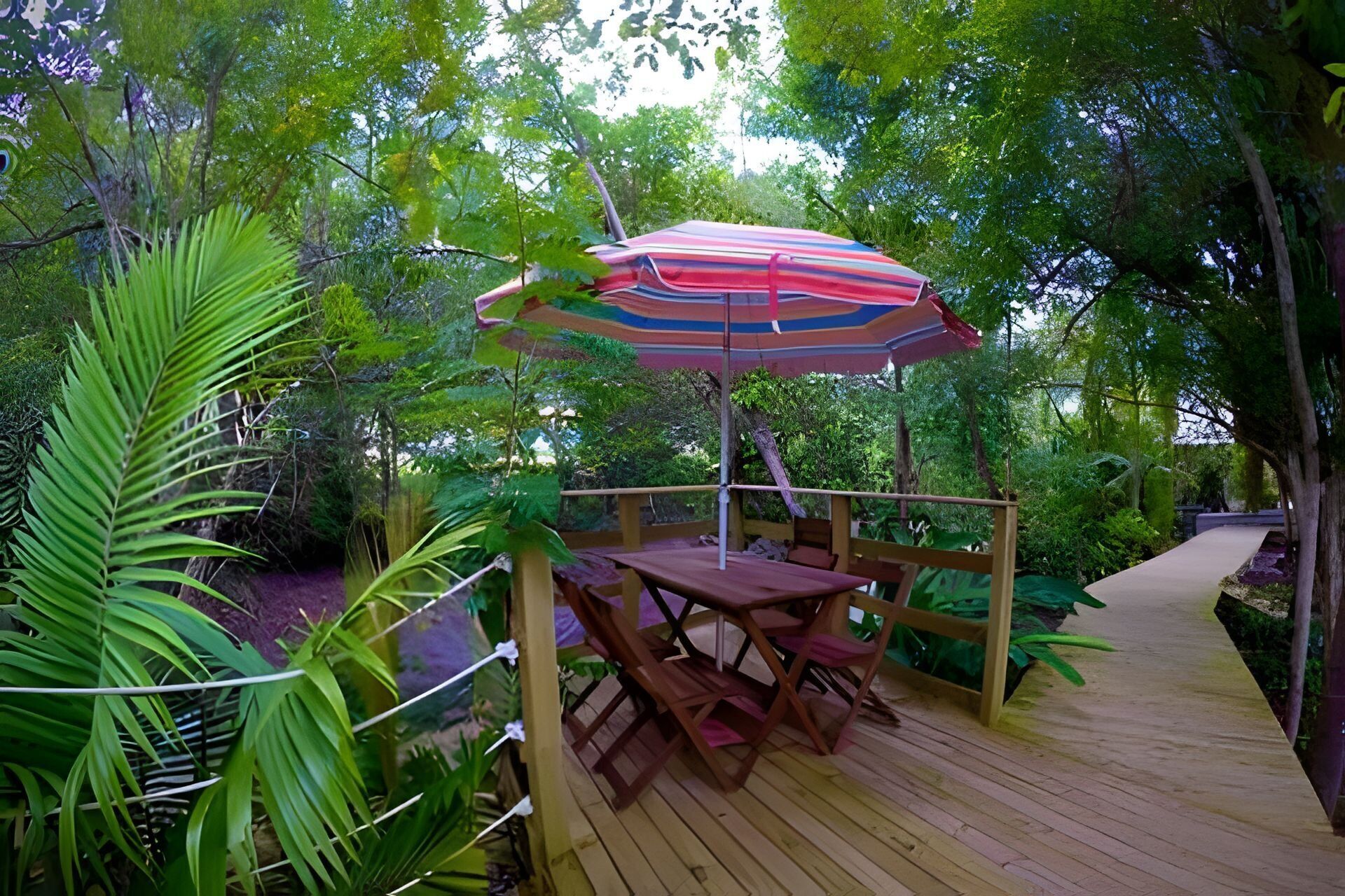 A wooden deck with a table and chairs, an umbrella, and lush greenery.