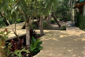 Basic Villa | Property grounds