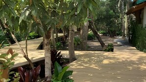 A wooden pathway in a garden with various plants and trees. - Villa dos Sonhos Vá de Caiaque Até o Mar (São Francisco do Sul)