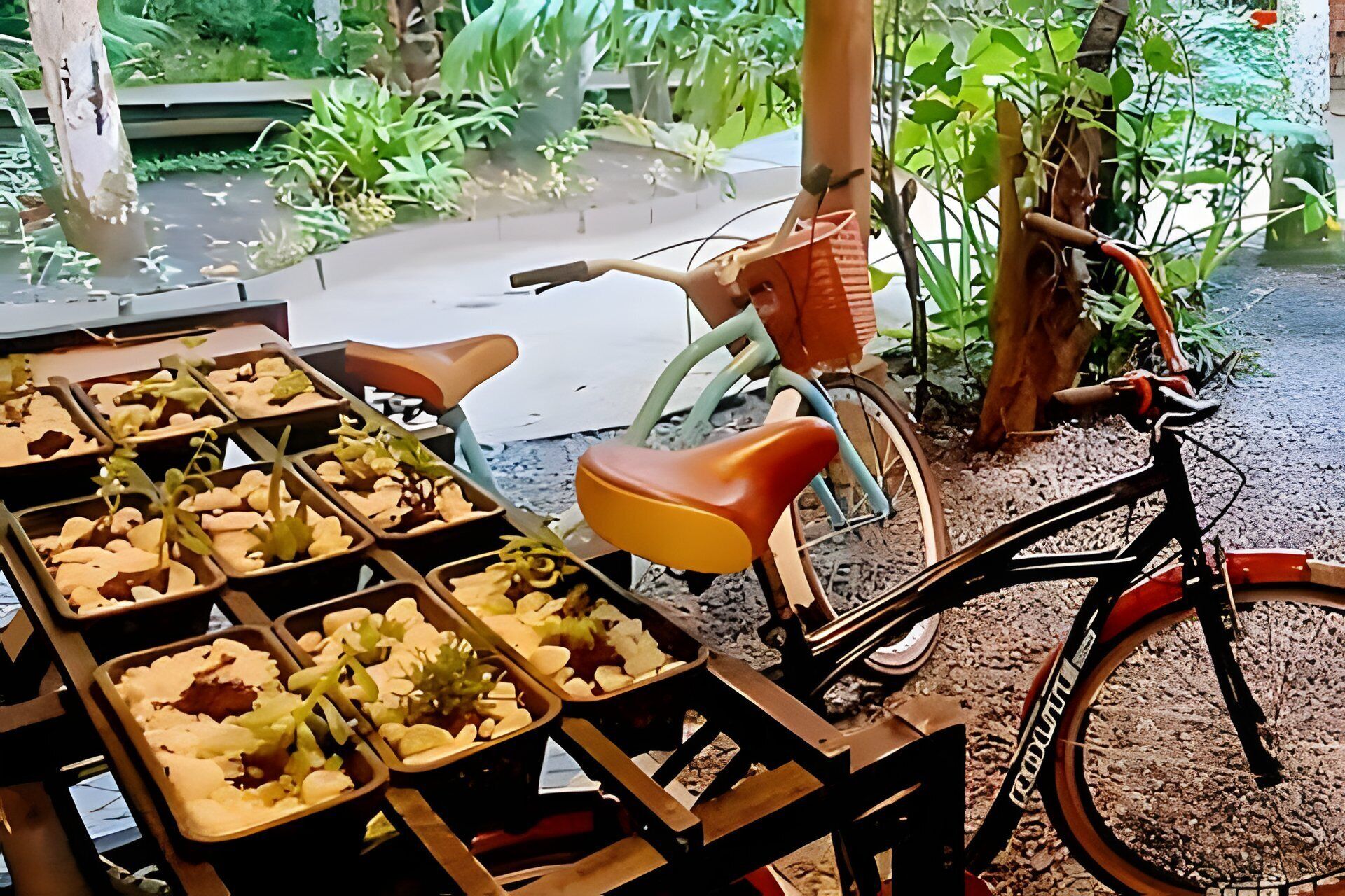 A bicycle parked near a table with trays of food.