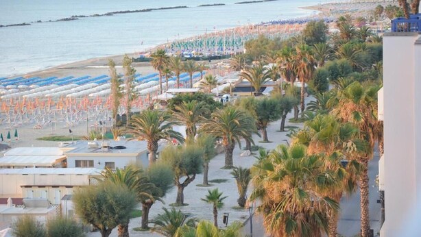 Een strand met rijen parasols en palmbomen, een uitzicht op de zee, en gebouwen op de achtergrond.