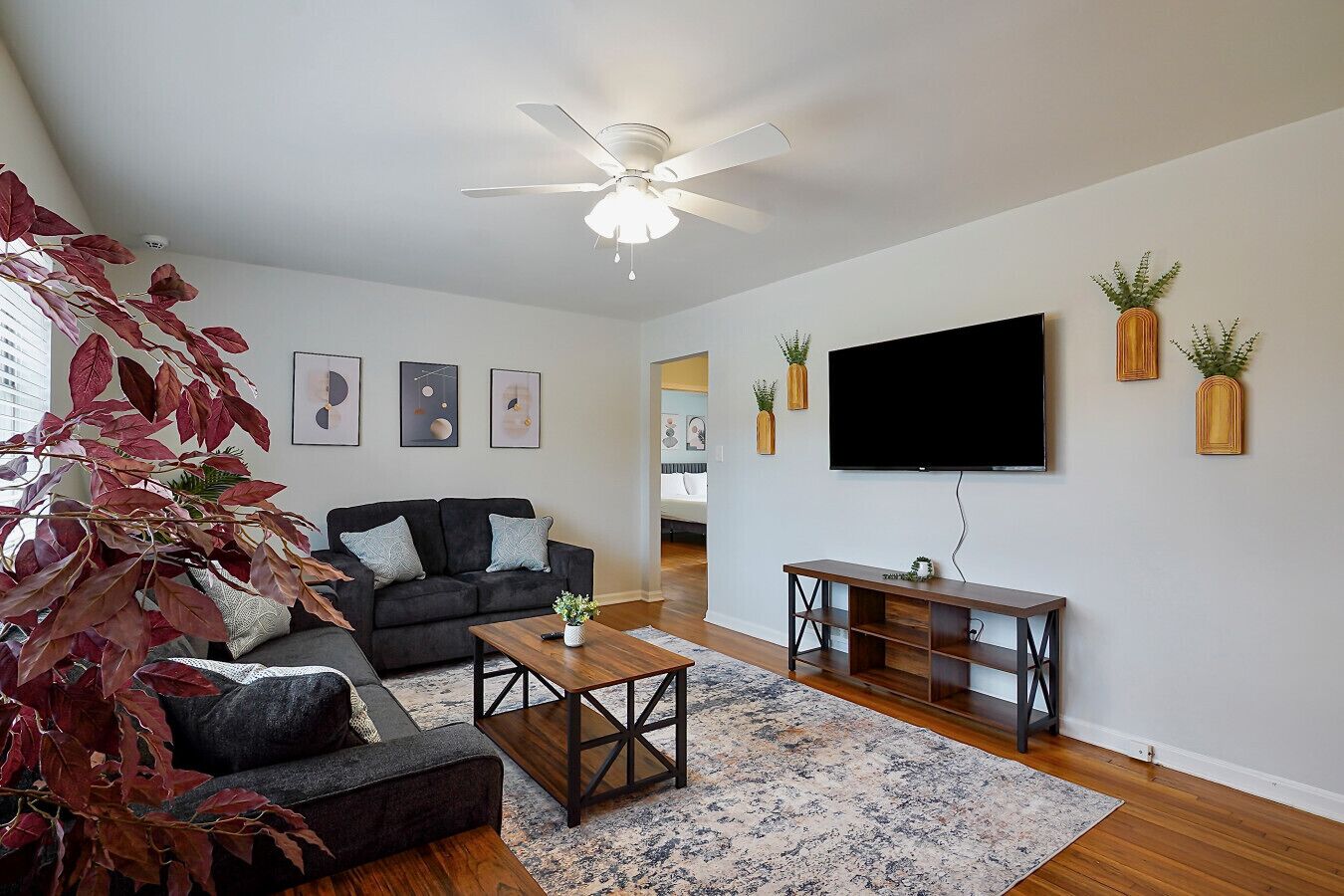 TV
