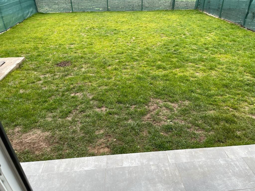 A backyard with a green lawn and a concrete patio area.