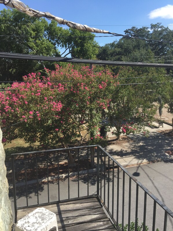 Botón de imagen sin clasificar, 1 de 21