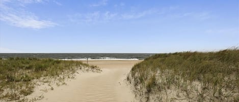 بالقرب من الشاطئ