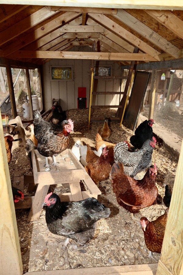 Billede uden beskrivelse, 1 af 29, knap