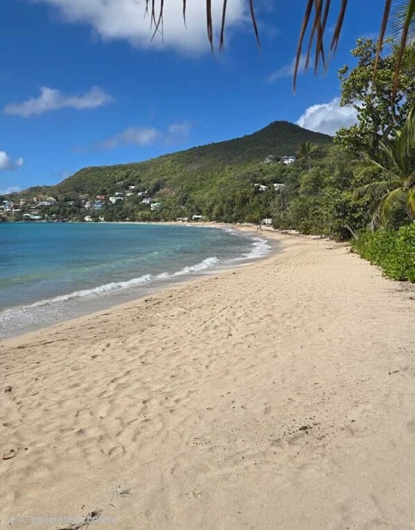 A beach with clear blue water, sandy shore, and a hill with vegetation in the background.
